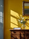 Rain Coat Interior Emulsion Paint - Image 8