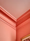 Raja Ampat Interior Emulsion Paint - Image 6