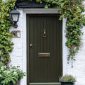 Repotting Exterior Front Door Paint - Image 1