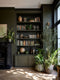 Repotting Interior Emulsion Paint - Image 5