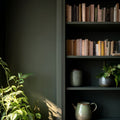Repotting Interior Emulsion Paint - Image 7
