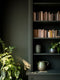 Repotting Interior Emulsion Paint - Image 7