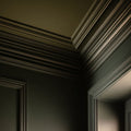 Repotting Interior Emulsion Paint - Image 8