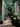 Sprout Green Interior Emulsion Paint - Image 1