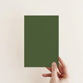 Terrarium Exterior Front Door Paint - Image 5