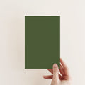 Terrarium Exterior Masonry Paint - Image 2