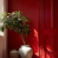 Village Red Interior Emulsion Paint - Image 13