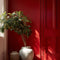 Village Red Interior Emulsion Paint - Image 13