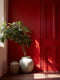 Village Red Interior Emulsion Paint - Image 13