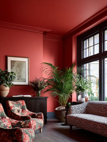 Village Red Interior Emulsion Paint - Image 9