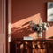 Yemeni Clay Interior Emulsion Paint - Image 4