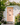 PARADE™ EXTERIOR DOOR PAINT - Knuckles