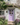 COTTAGE GARDEN™ EXTERIOR DOOR PAINT - Knuckles